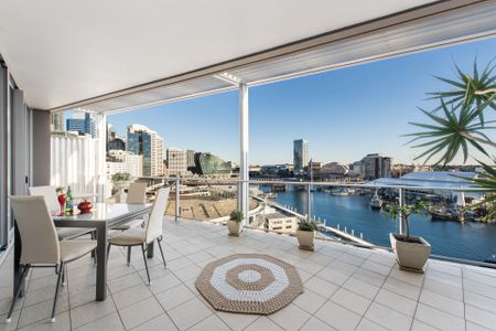 1402/23 Shelley Street, Sydney - Photo 2