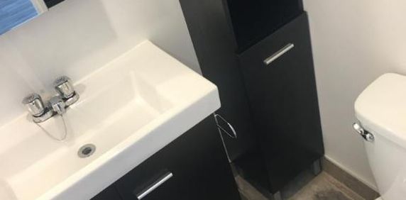 1 1/2 - Montréal (La Petite-Patrie) - 950 $/mois - Photo 2