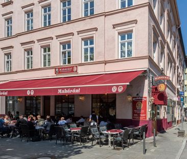 Wohnen zur Miete im beliebten Universitäts & Museumsviertel - Foto 2