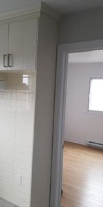 5 1/2 MARS OU AVRIL - Photo 3