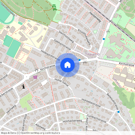 3095, Spiegel b. Bern, Bellevuestrasse, 2