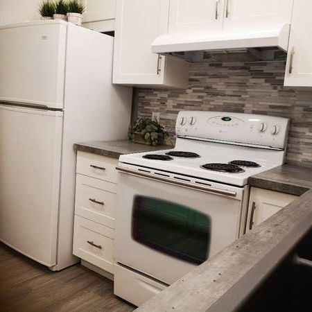 2 Bedroom Condo for Rent - near CHEO St-Laurent / Russell - Photo 1