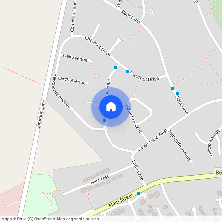 Elm Tree Avenue, Shirebrook, Mansfield