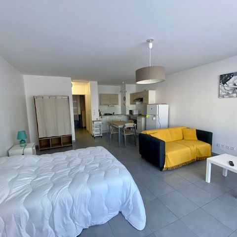 Location Appartement 1 pièce 44m² - Photo 1