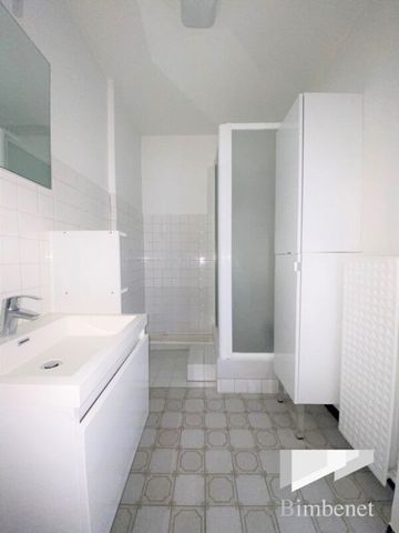 Appartement à louer, 3 pièces - Orléans 45000 - Photo 4
