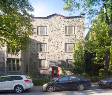 2060 du Fort - Photo 4