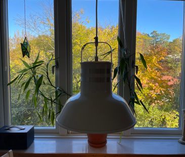 Ängsviksvägen, Värmdö - Photo 4
