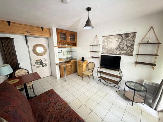 Location Appartement 1 pièce Meublé 19m² MONTPELLIER 34090 - Photo 1