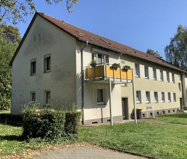 2-Zimmer-Wohnung in Herten Disteln - Foto 3