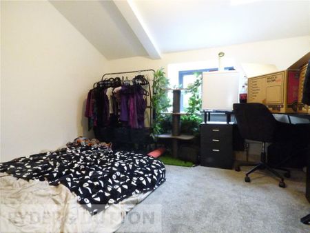3 bedroom house to rent - Photo 4