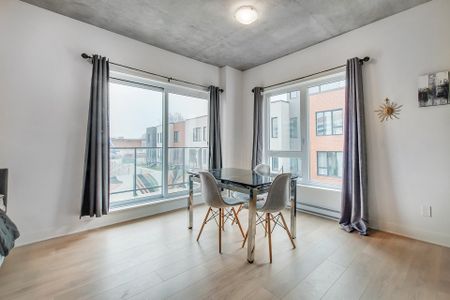 Appartement à Montréal (Mercier/Hochelaga-Maisonneuve) - Photo 4