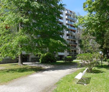 Location Appartement 1 pièce 29m² - Photo 4
