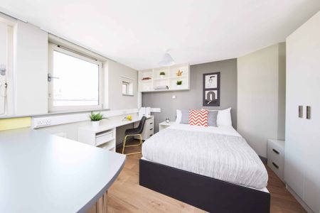 Deluxe Studio - Photo 4