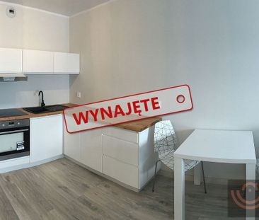 Do wynajęcia 2 pokojowy apartament 43m2 ul. Potulicka - Photo 2