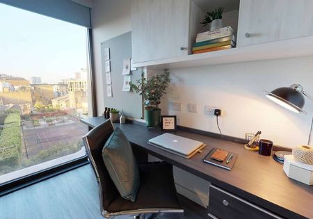 Gold Studio Deluxe - Photo 4