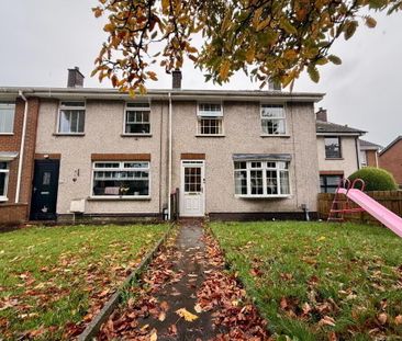 42 Drumard Drive, Lisburn, BT28 2HY - Photo 4