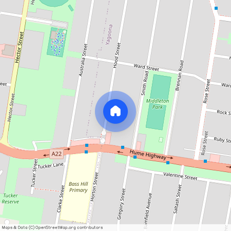 73 Hood St, NSW 2199, Yagoona