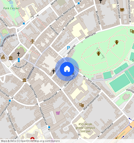 Schaffensestraat 73/c001, 73, C001, 3290, Diest