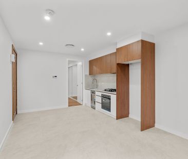 Brand New Granny Flat - Photo 1