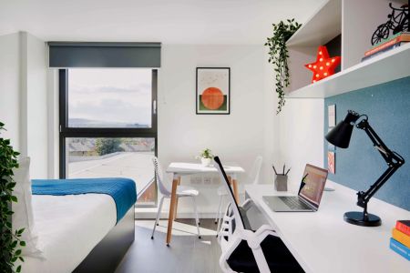 Bronze Studio - Single Occupancy - Photo 2