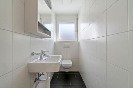 For city dwellers and nature lovers - Foto 4