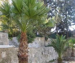 Βίλα για ενοικίαση - Γάζι, - Photo 6