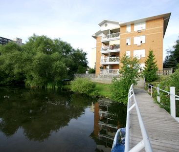 apartments at 1904 Paris Street - Photo 6