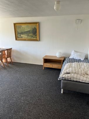 Tunnlandsvägen, Mariestad - Foto 1