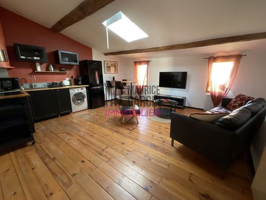 A LOUER - APPARTEMENT meublé L'ISLE SUR LA SORGUE - 2 pièces 43.55m² - Photo 1