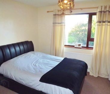 5 Loughinisland Road, Downpatrick, BT30 8PT - Photo 4
