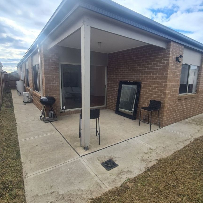 12 Shoveler Street, Clyde North - Photo 1