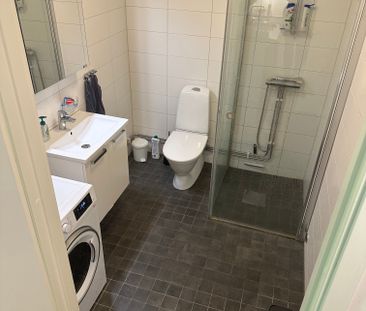 Gaffelseglet, Vega - Photo 2