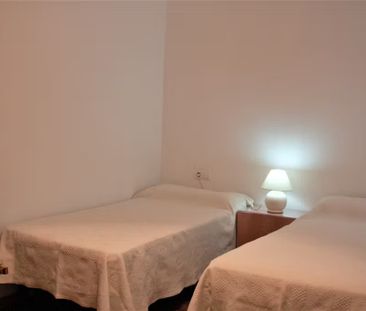 Calle Muro de los Navarros, Sevilla, Andalusia 41003 - Photo 4