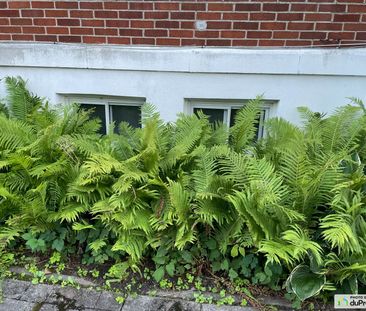 5852, avenue Clanranald, Côte-des-Neiges / Notre-Dame-de-Grâce à louer - Photo 5