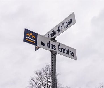 4925 Rue des Érables - Photo 2