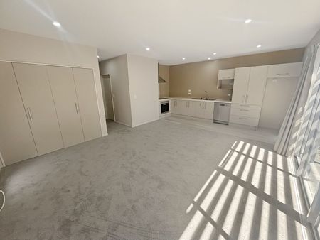 11c Clarence Street South, Addington, NZ 8024 - Photo 3