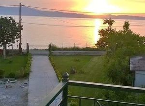 Διαμέρισμα για ενοικίαση - Δαφνούσες, - Photo 5