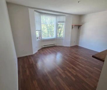 1209 Thurlow Street — #302 - Photo 6