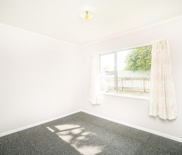 Four Bedroom on Seddon! - Photo 3