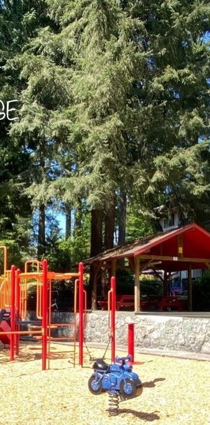 908 Berkley Road - Photo 1