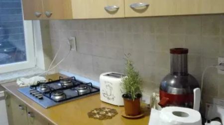 Apartament de inchiriat, 2 camere, semidecomandat, 45 mp, Central, Cod 161715 - Fotografie 5