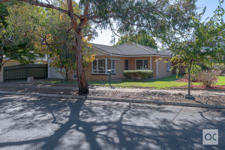 Unit 1/14 Collingrove Avenue - Photo 4