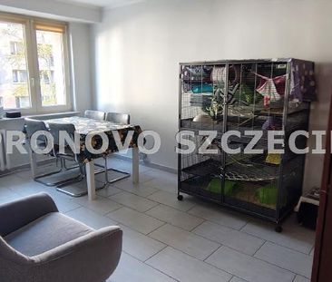 Mieszkanie Szczecin Dąbie powierzchnia 57.6 m² C319-WM-41923 - Photo 5