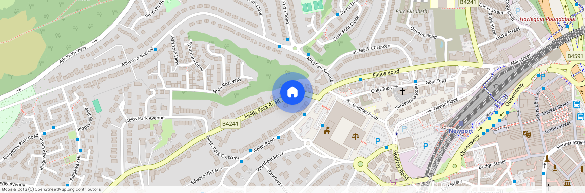 Fields Park Road Newport NP20 5BA