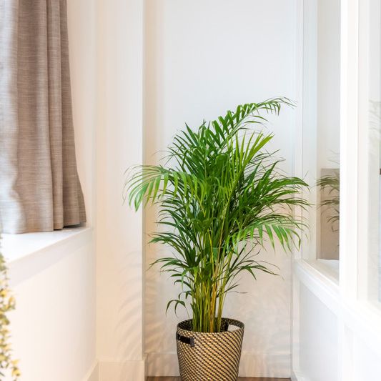 Ungerplein 2D10 - Foto 1