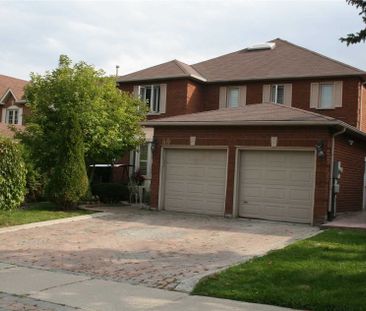 For Lease - 60 Savage Road Unit# Basement A, Newmarket, Ontario - Photo 5