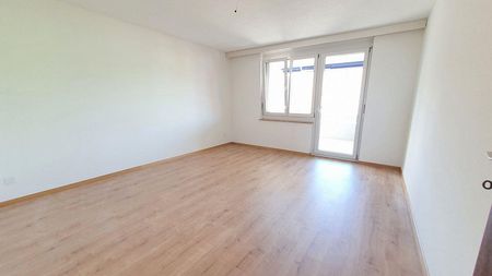 Mitten in der Stadt und doch im Grünen - Foto 2