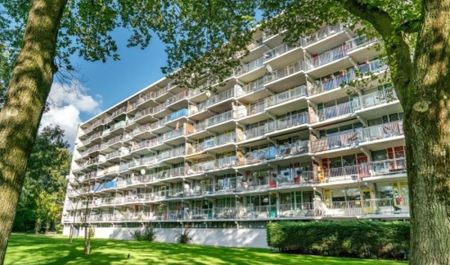 Apartment Leiden - Zijldonk - Foto 2