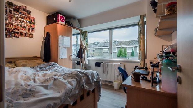 7 Leeson Walk - Photo 1