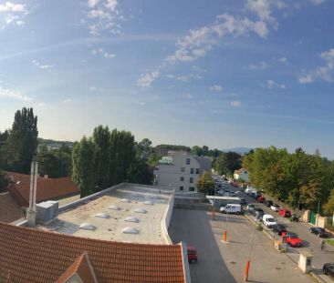 SONNIGE DACHWOHNUNG - TERRASSE - GARTENMITBENÜTZUNG - U6 SIEBENHIRT... - Photo 3